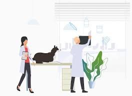 Medicina Preventiva
